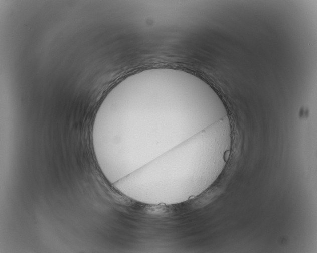 X0000111800624200908131437
