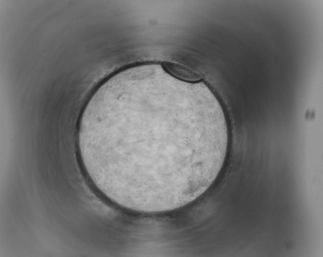 X0000111800625200908131436