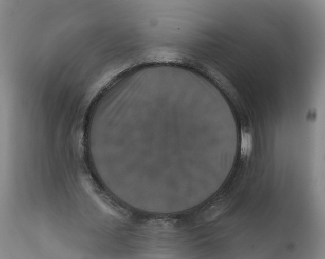 X0000111800627200908131436