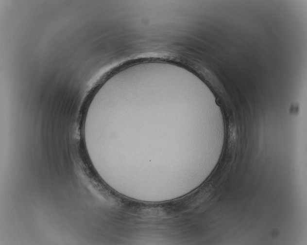 X0000111800628200908131436