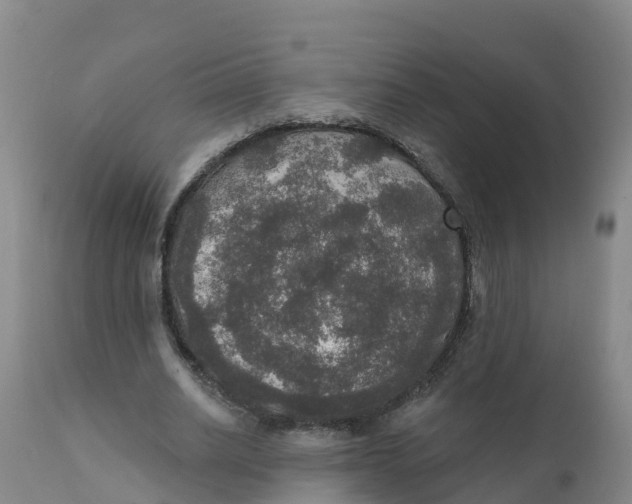 X0000111800630200908131436