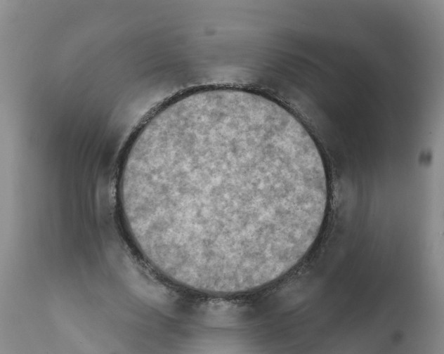 X0000111800632200908131436