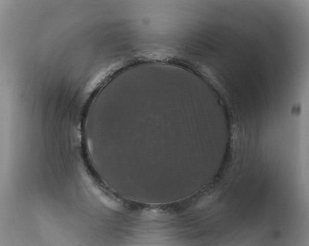 X0000111800634200908131436