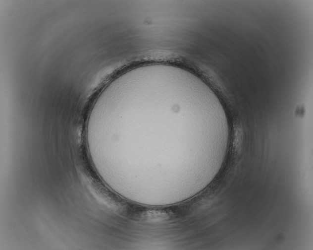 X0000111800636200908131436