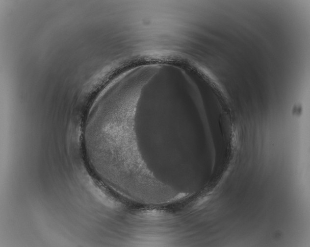 X0000111800637200908131436