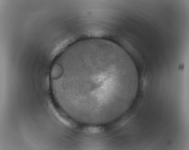 X0000111800638200908131436