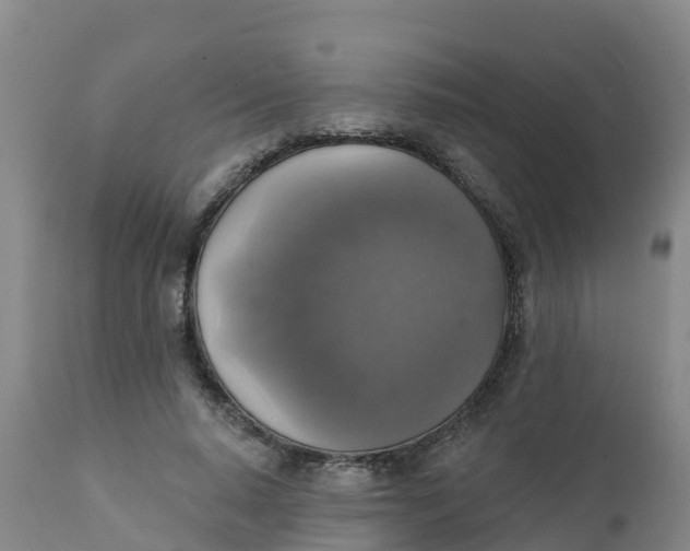 X0000111800640200908131436