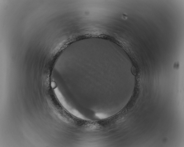 X0000111800642200908131437