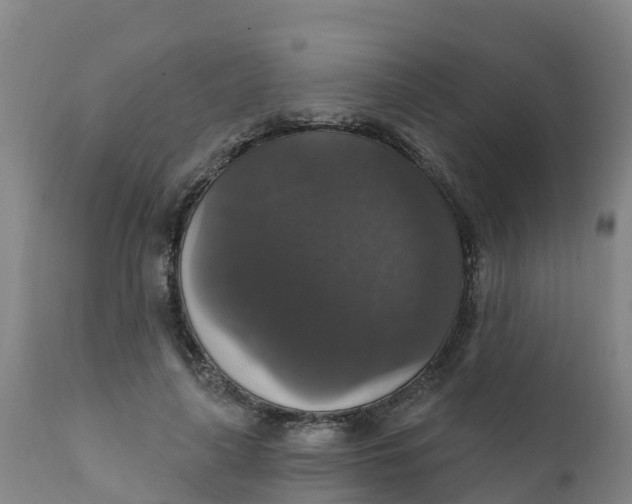X0000111800643200908131437