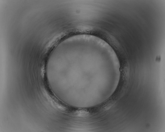 X0000111800644200908131437