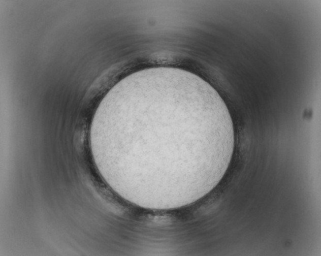 X0000111800645200908131437