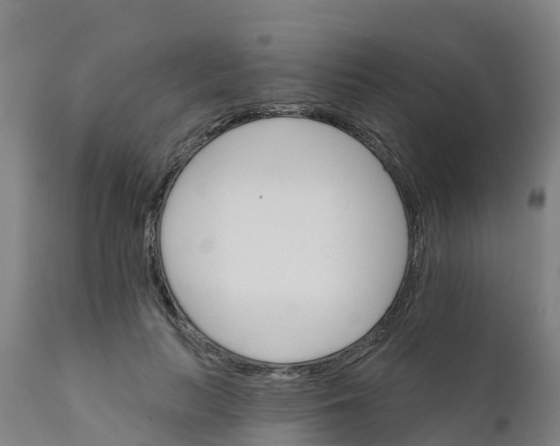 X0000111800647200908131437