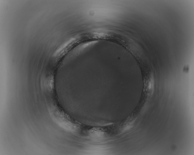 X0000111800648200908131437