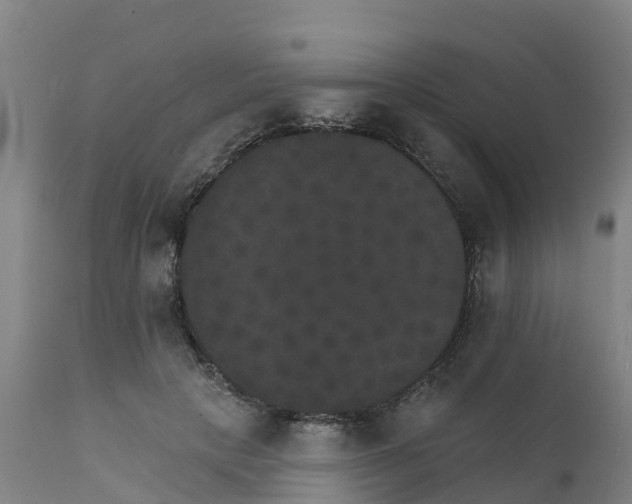 X0000111800649200908131437