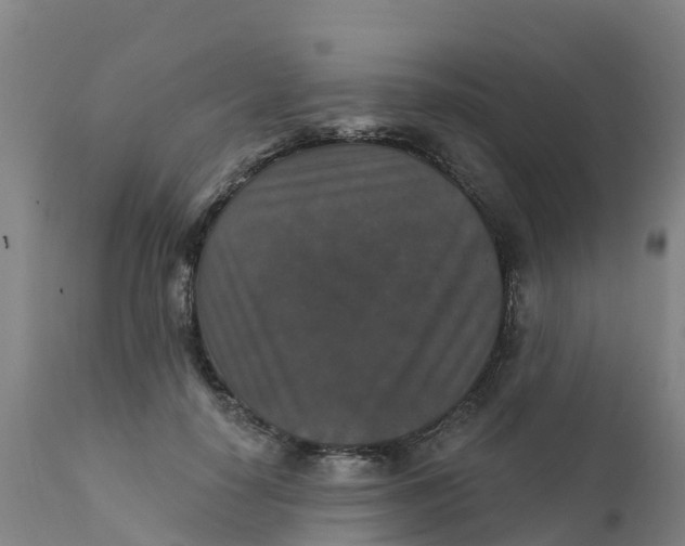 X0000111800650200908131437