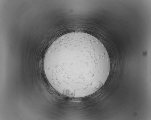 X0000111800651200908131437
