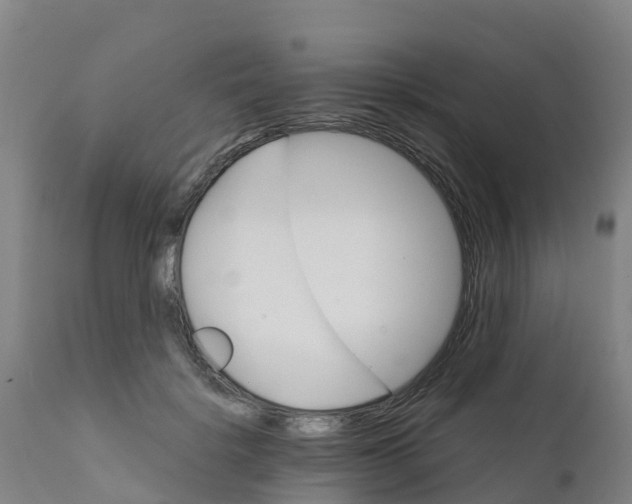 X0000111800652200908131437