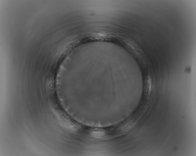 X0000111800653200908131437
