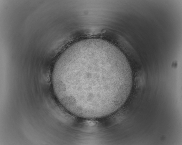 X0000111800654200908131437