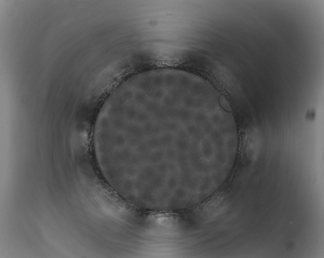 X0000111800655200908131437