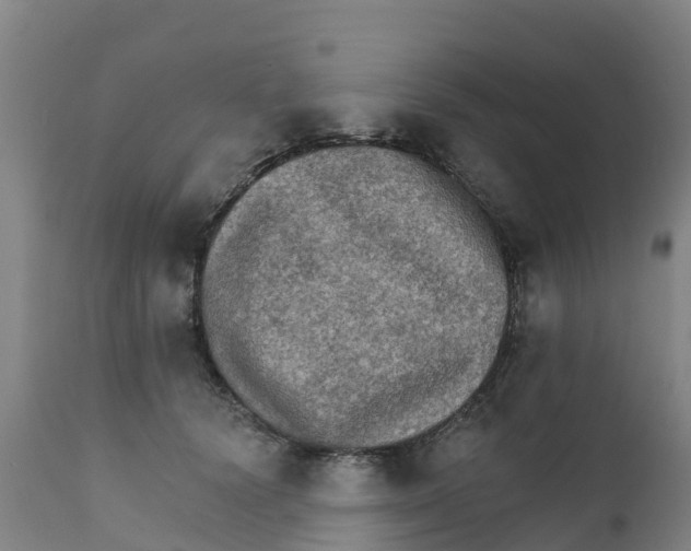 X0000111800656200908131437