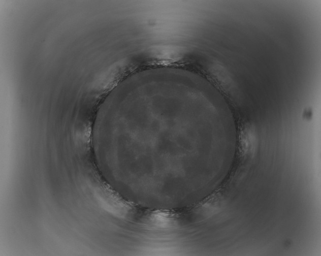 X0000111800657200908131437