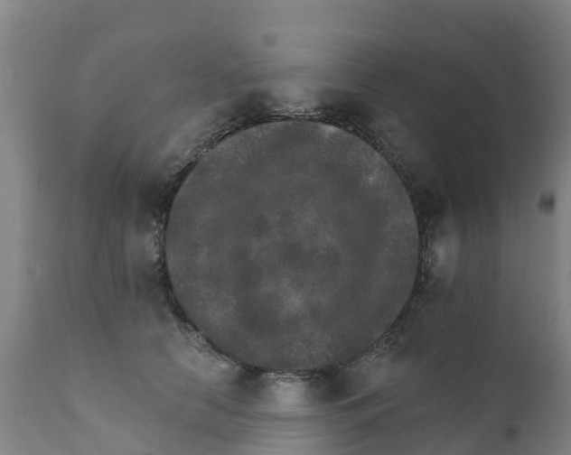 X0000111800658200908131437