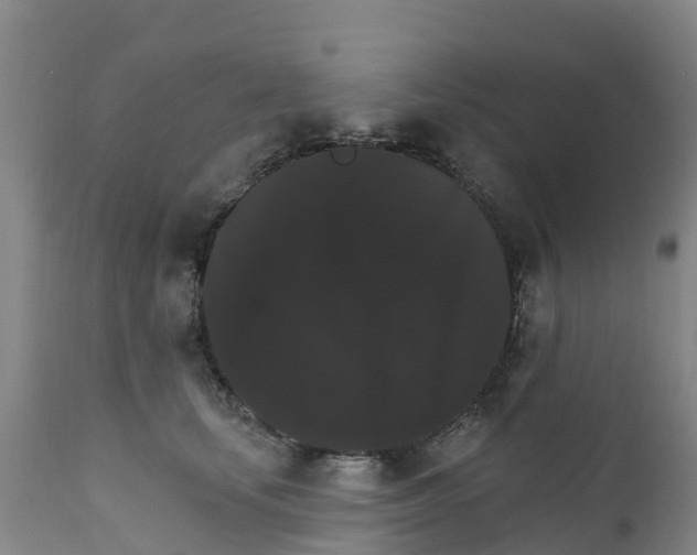 X0000111800659200908131437