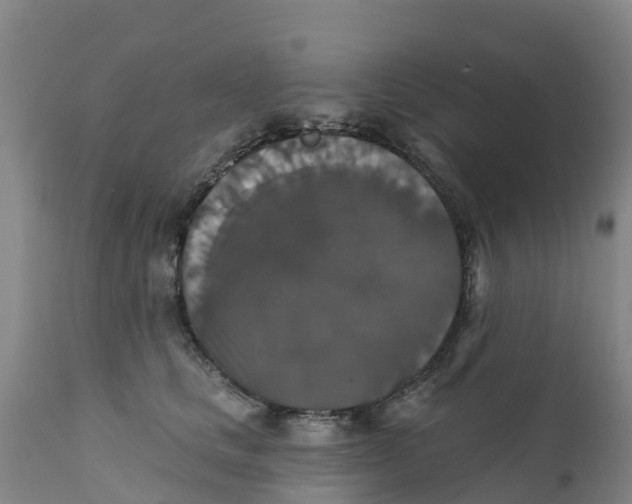 X0000111800661200908131437