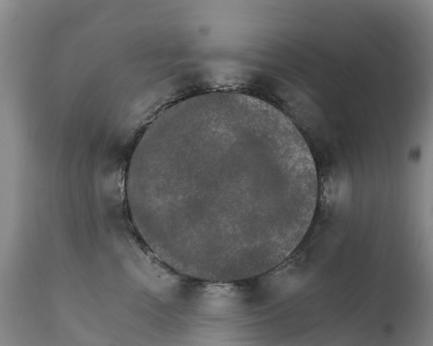 X0000111800666200908131437