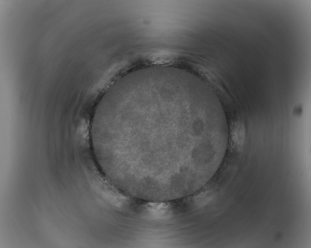 X0000111800667200908131437