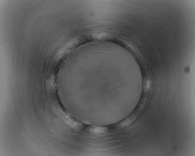 X0000111800670200908131437