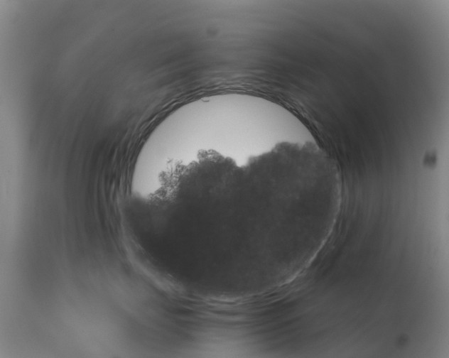 X0000111800671200908131437
