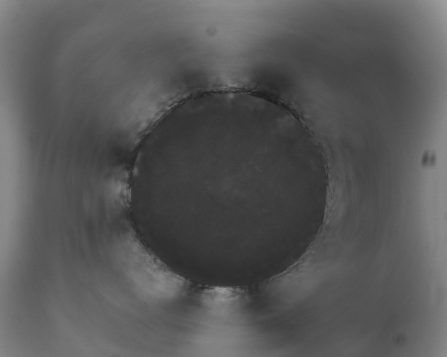 X0000111800672200908131437