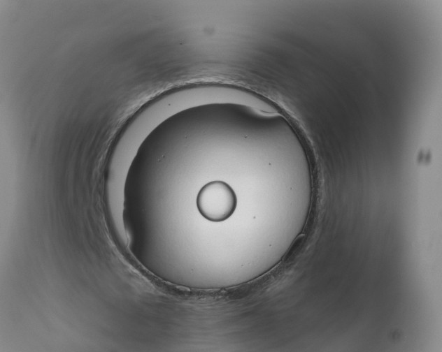 X0000111800673200908131436