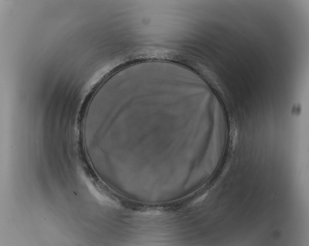 X0000111800674200908131436