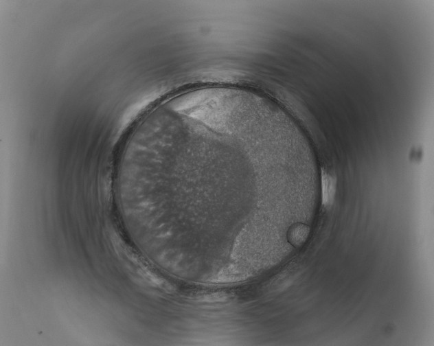 X0000111800675200908131436