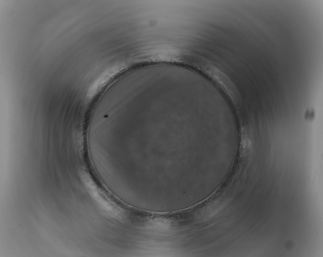 X0000111800677200908131436