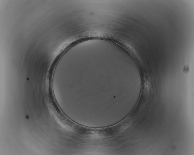 X0000111800678200908131436