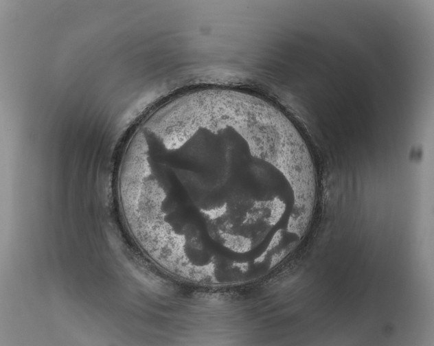X0000111800679200908131436