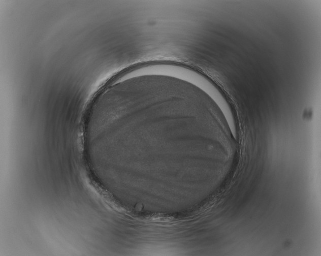 X0000111800680200908131436