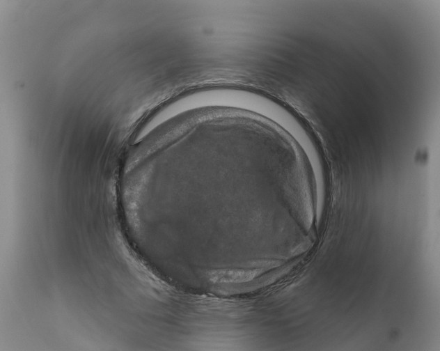X0000111800681200908131436