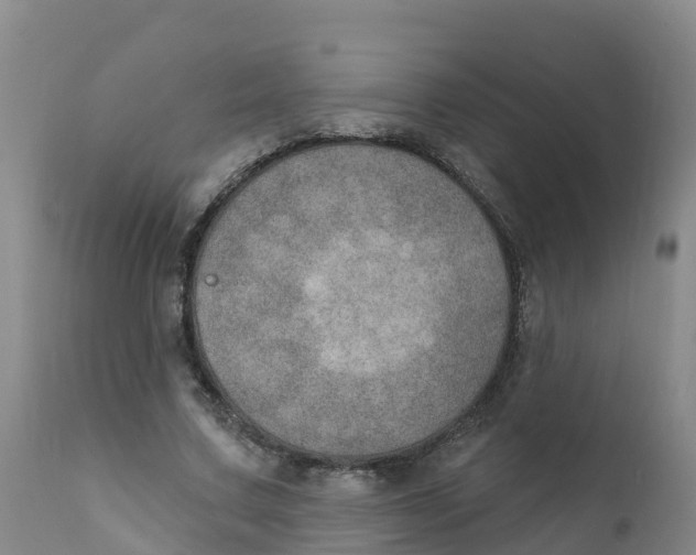 X0000111800683200908131436