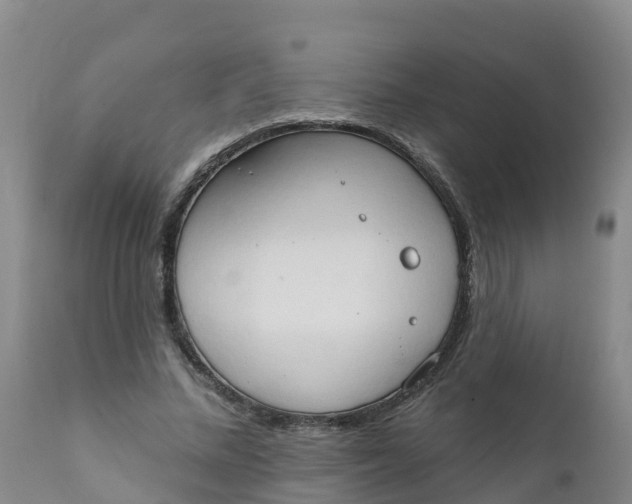 X0000111800684200908131436