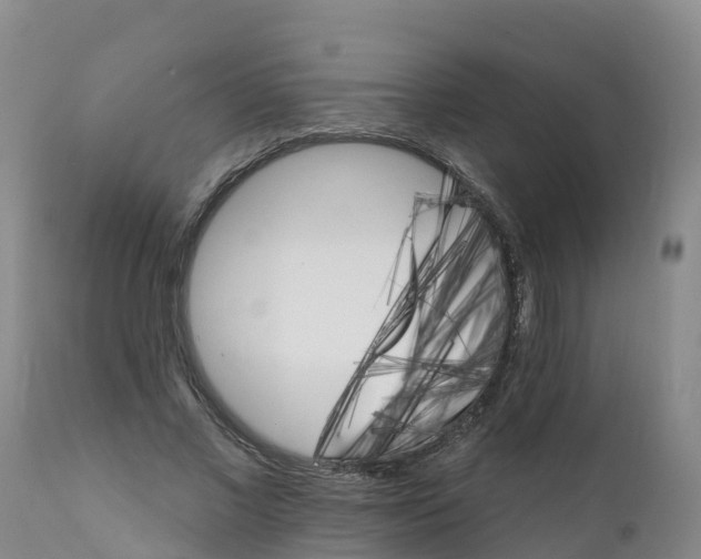 X0000111800685200908131436