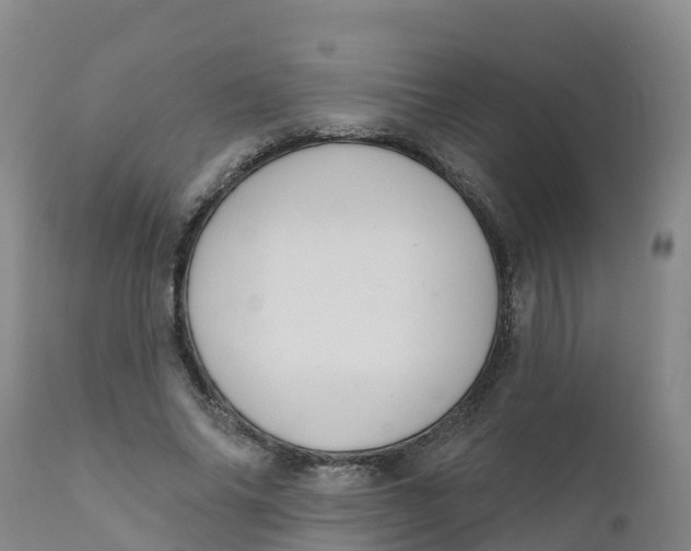 X0000111800686200908131436