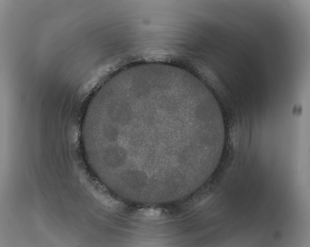 X0000111800687200908131436
