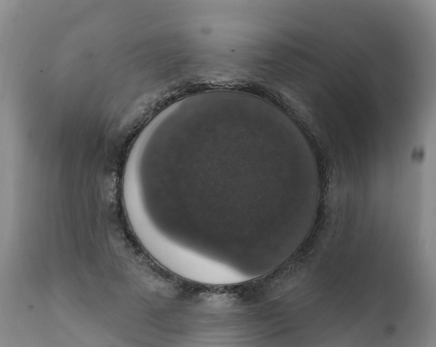 X0000111800689200908131436