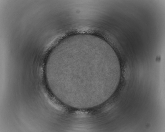X0000111800690200908131436