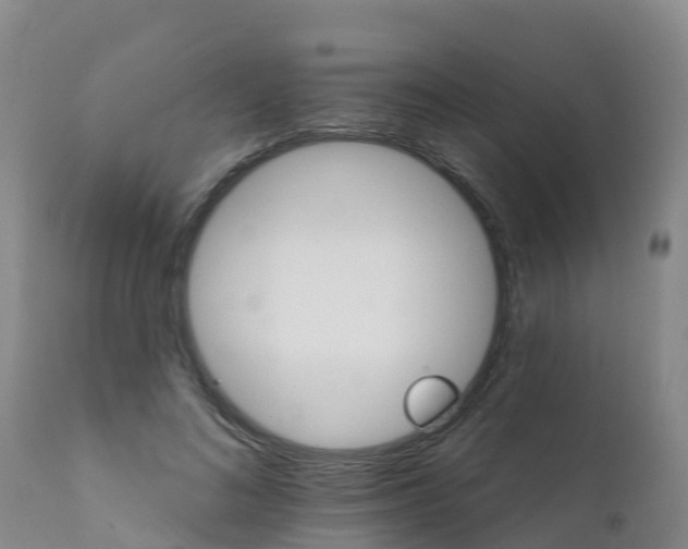 X0000111800692200908131436